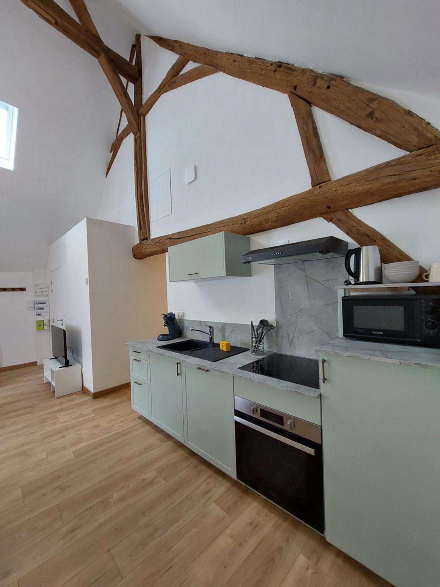 Appartements L'Hirondelle Beaugency Exterior photo
